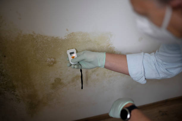 Best Mold Testing  in Barrackville, WV