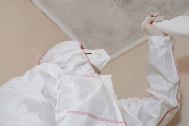 Trusted Barrackville, WV Mold Removal Experts