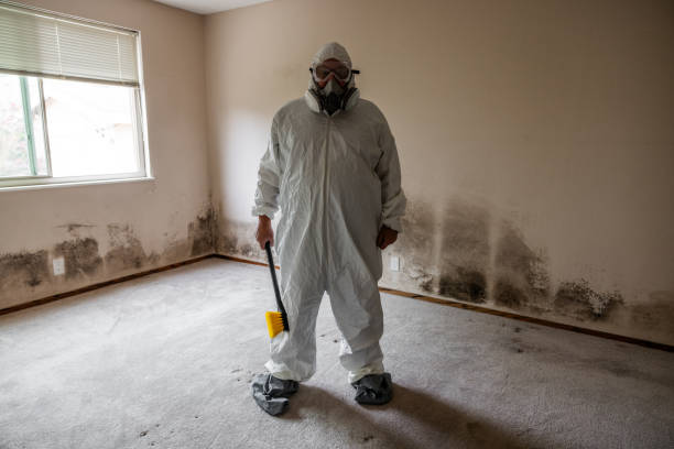 Best Residential Mold Removal  in Barrackville, WV